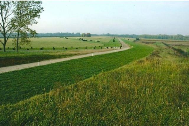 Hermoso paisaje de equitación 